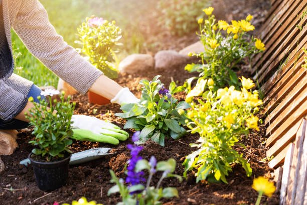 Jardinería